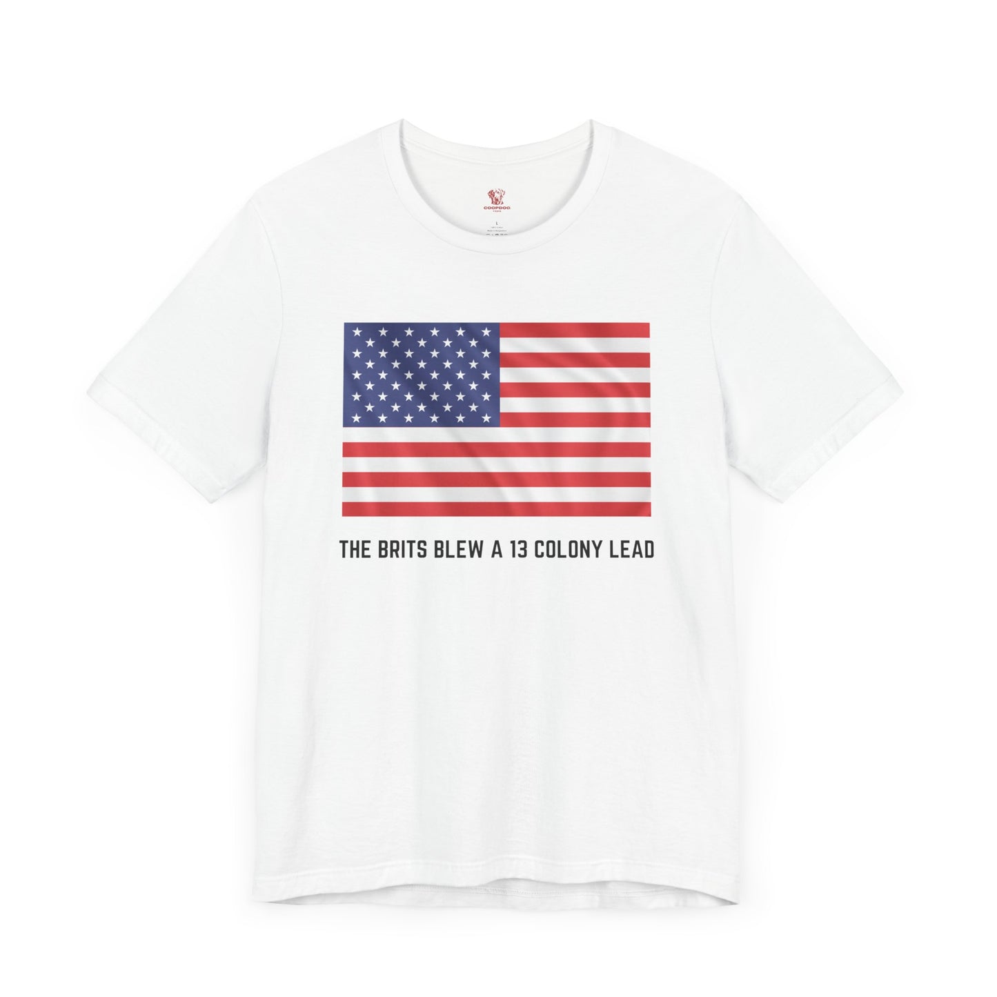 American Flag T-Shirt, Fourth Of July T-Shirt, Patriotic T-Shirt, American Revolution Shirt, American Parody T-Shirt