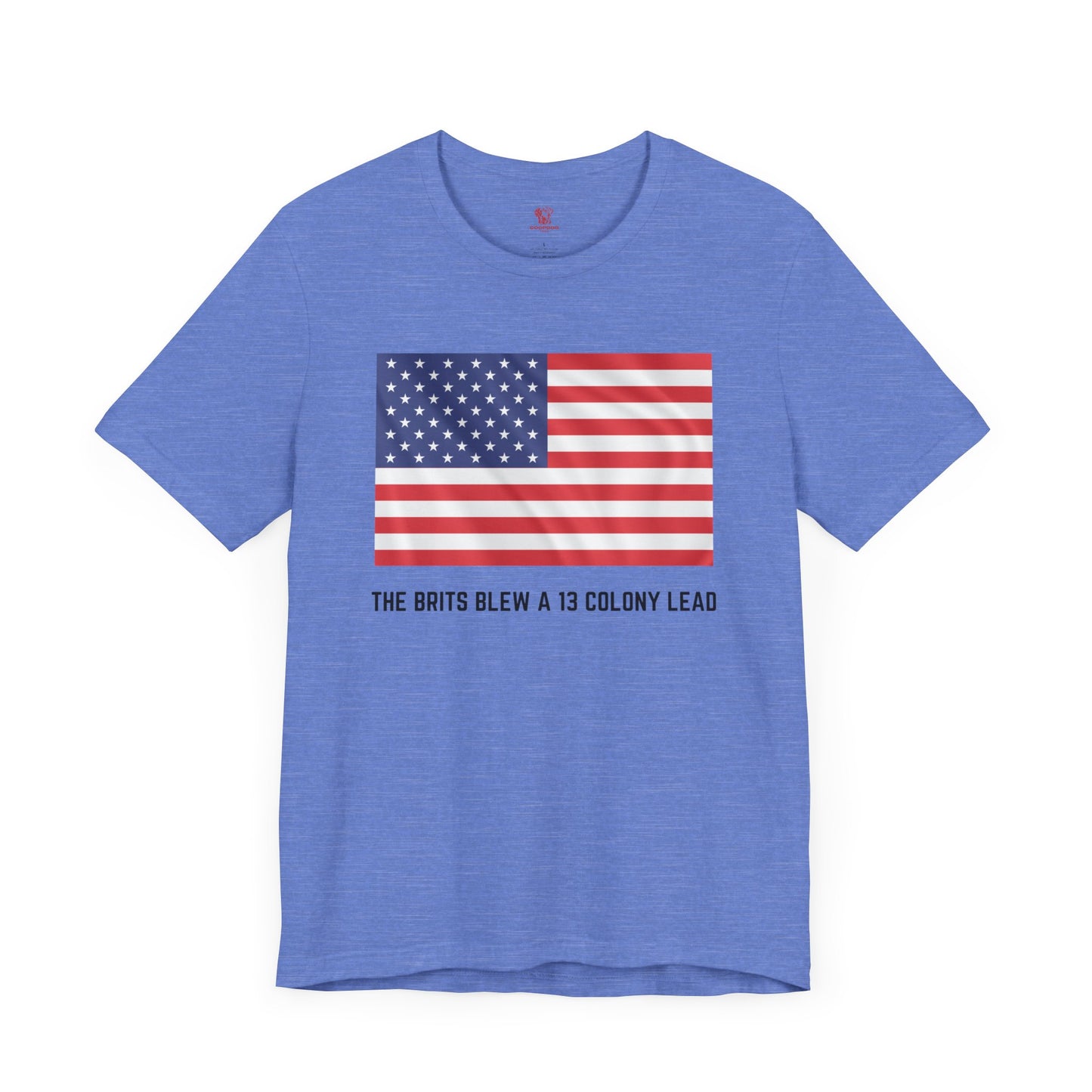 American Flag T-Shirt, Fourth Of July T-Shirt, Patriotic T-Shirt, American Revolution Shirt, American Parody T-Shirt